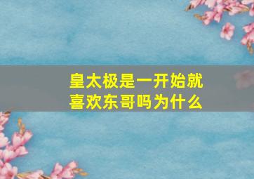 皇太极是一开始就喜欢东哥吗为什么