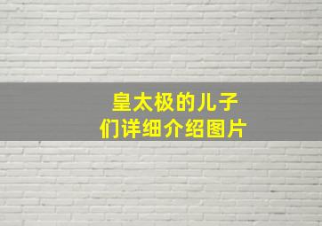 皇太极的儿子们详细介绍图片