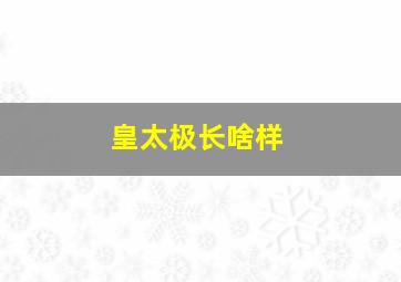 皇太极长啥样