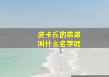 皮卡丘的弟弟叫什么名字呢