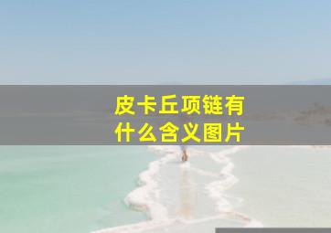 皮卡丘项链有什么含义图片