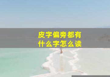 皮字偏旁都有什么字怎么读