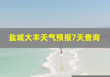 盐城大丰天气预报7天查询