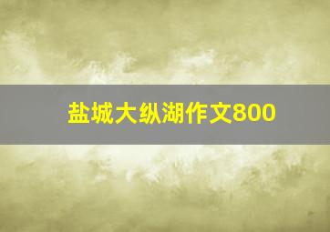 盐城大纵湖作文800