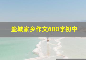 盐城家乡作文600字初中