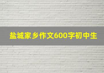 盐城家乡作文600字初中生