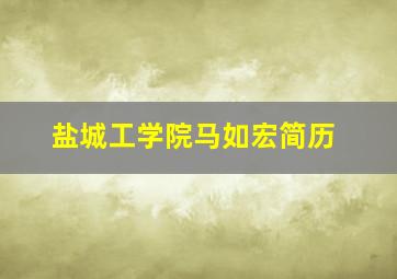 盐城工学院马如宏简历