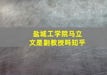 盐城工学院马立文是副教授吗知乎