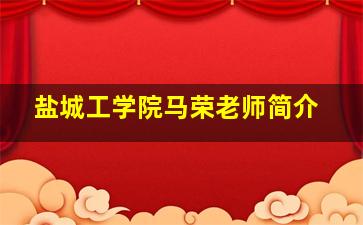 盐城工学院马荣老师简介