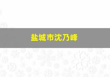 盐城市沈乃峰