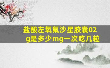 盐酸左氧氟沙星胶囊02g是多少mg一次吃几粒