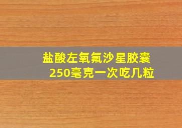 盐酸左氧氟沙星胶囊250毫克一次吃几粒