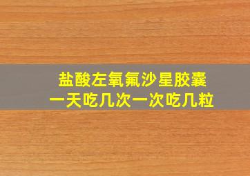 盐酸左氧氟沙星胶囊一天吃几次一次吃几粒