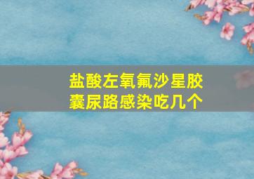 盐酸左氧氟沙星胶囊尿路感染吃几个