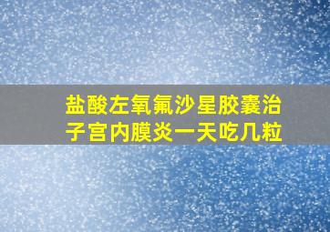 盐酸左氧氟沙星胶囊治子宫内膜炎一天吃几粒