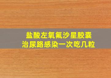 盐酸左氧氟沙星胶囊治尿路感染一次吃几粒