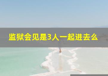 监狱会见是3人一起进去么