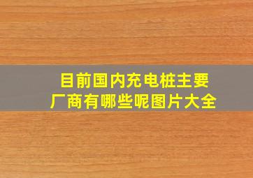 目前国内充电桩主要厂商有哪些呢图片大全