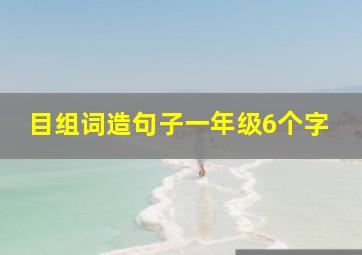 目组词造句子一年级6个字