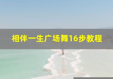 相伴一生广场舞16步教程