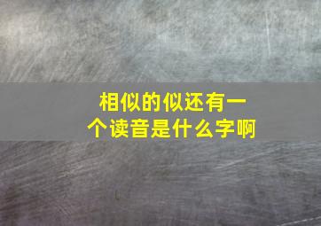 相似的似还有一个读音是什么字啊