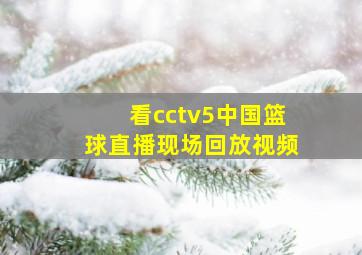 看cctv5中国篮球直播现场回放视频