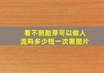 看不到胎芽可以做人流吗多少钱一次呢图片