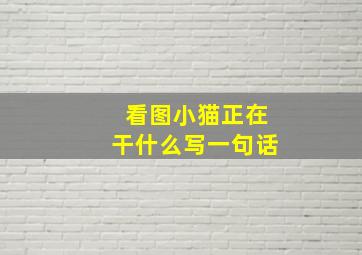 看图小猫正在干什么写一句话