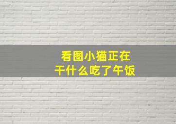 看图小猫正在干什么吃了午饭