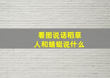 看图说话稻草人和蜻蜓说什么