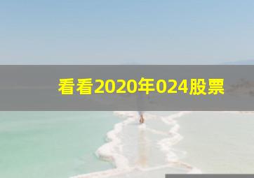 看看2020年024股票