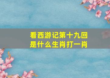 看西游记第十九回是什么生肖打一肖