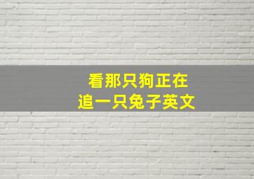 看那只狗正在追一只兔子英文