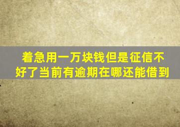 着急用一万块钱但是征信不好了当前有逾期在哪还能借到