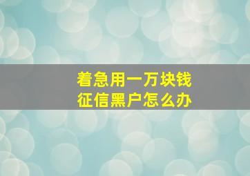 着急用一万块钱征信黑户怎么办