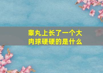 睾丸上长了一个大肉球硬硬的是什么