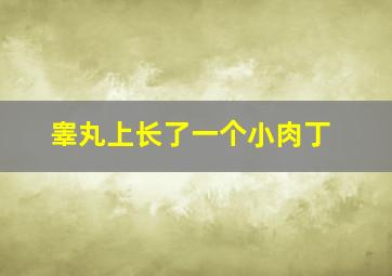 睾丸上长了一个小肉丁