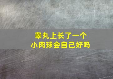 睾丸上长了一个小肉球会自己好吗