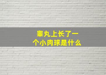 睾丸上长了一个小肉球是什么