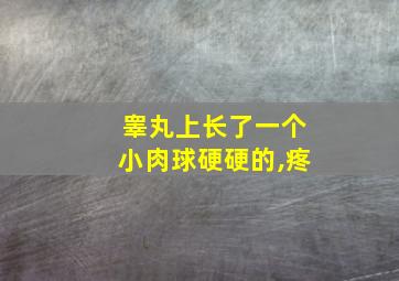 睾丸上长了一个小肉球硬硬的,疼