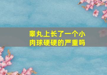 睾丸上长了一个小肉球硬硬的严重吗