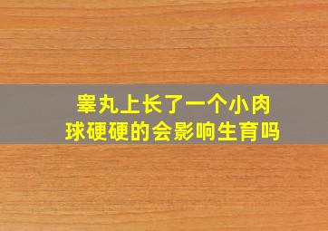 睾丸上长了一个小肉球硬硬的会影响生育吗