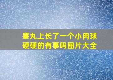 睾丸上长了一个小肉球硬硬的有事吗图片大全