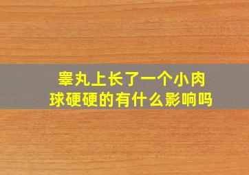 睾丸上长了一个小肉球硬硬的有什么影响吗