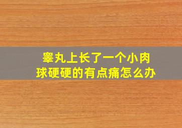 睾丸上长了一个小肉球硬硬的有点痛怎么办