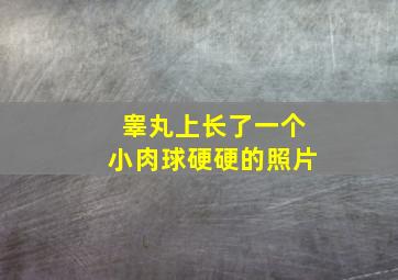 睾丸上长了一个小肉球硬硬的照片