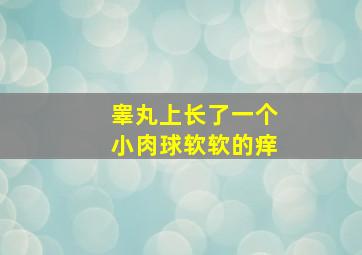 睾丸上长了一个小肉球软软的痒