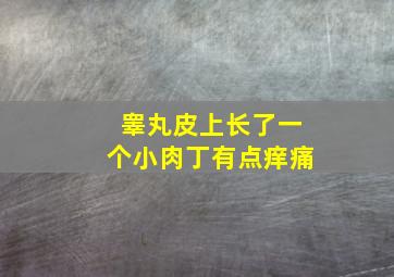 睾丸皮上长了一个小肉丁有点痒痛