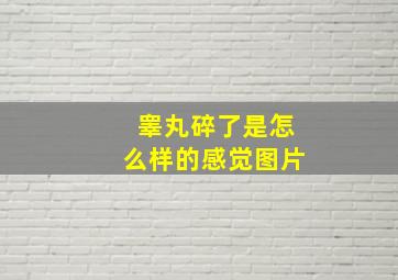 睾丸碎了是怎么样的感觉图片