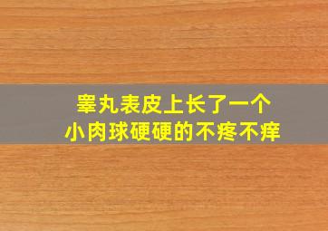 睾丸表皮上长了一个小肉球硬硬的不疼不痒